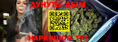 дмт Дубна